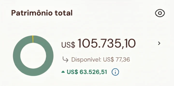 Extrato: patrimônio total US$ 105.735,10